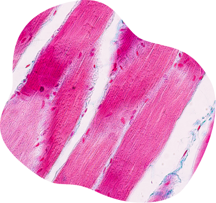 Cell-derived biomass